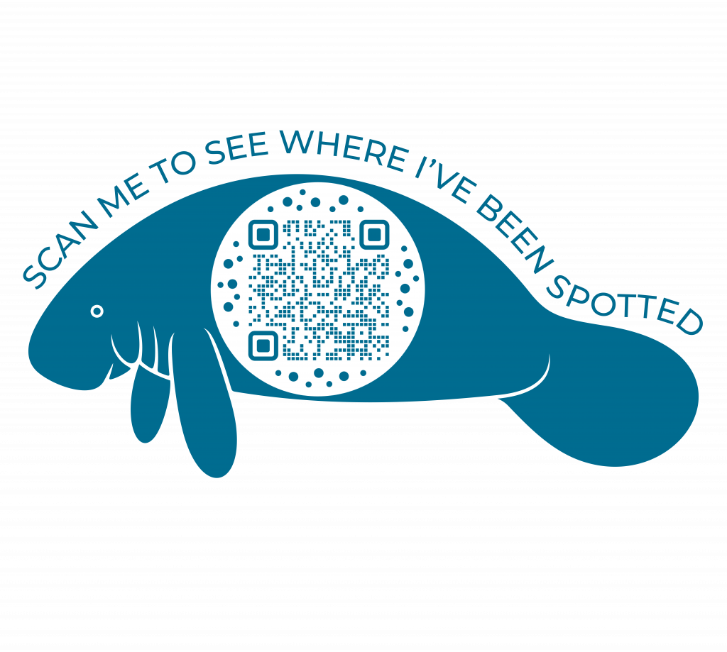 MANATEE QR CODE DESIGN